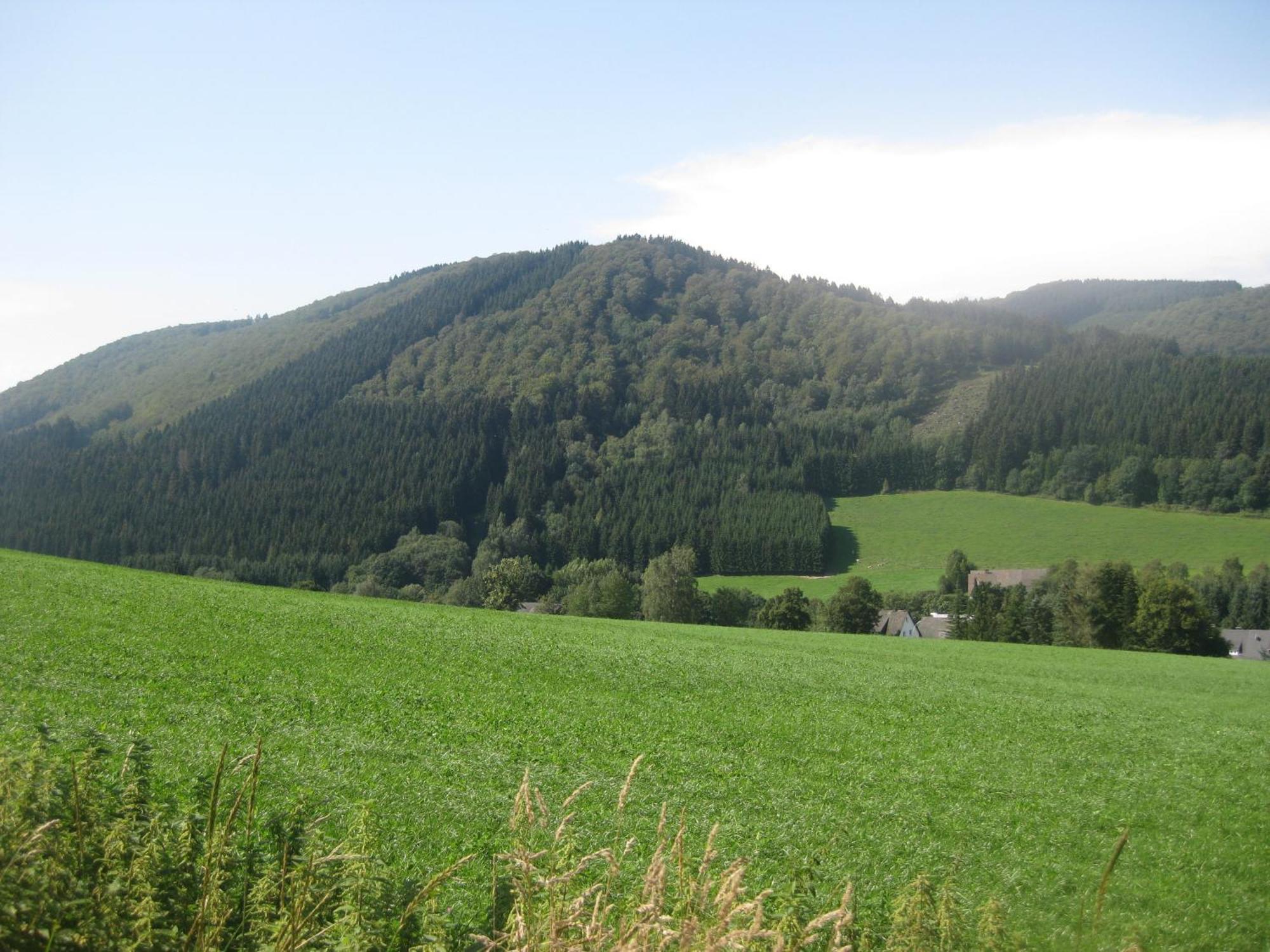 Pension-Gaestehaus Waldhof Winterberg Exterior photo